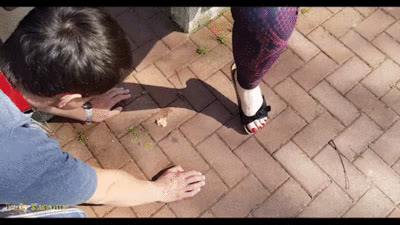 Lady Karames Kingdom - Leftovers at the parking lot
