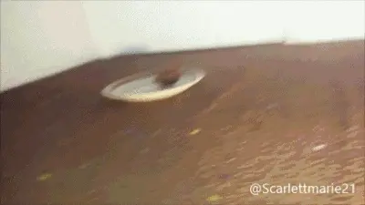 ScarlettMarie - Chocolate Cake Surprise!