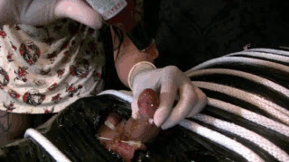 Lady Vampira - Tabasco Cumshot ************