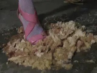 Toilet Slaves Scatology - Step******s Unforgettable Lesson! - Part 1