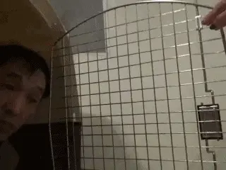 Toilet Slaves Scatology - Teatime with Obedient Human Pet! - P 1