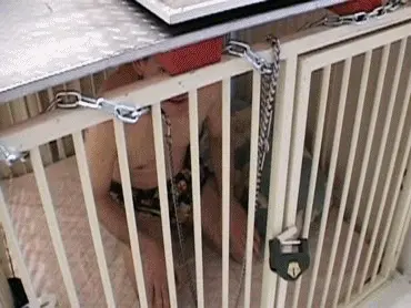 Toilet Slaves Scatology - Captive slave trampled and shitted on!