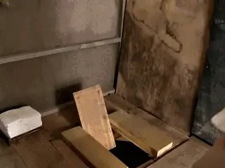 Toilet Slaves Scatology - Babe Pees on Primitive Toilet