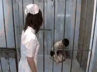 Toilet Slaves Scatology - Nasty Nurse Feeds Her Patients with Scat!