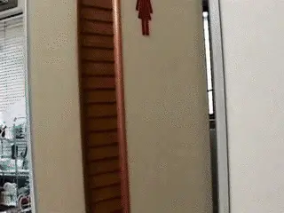 Toilet Slaves Scatology - Naughty Schoolgirl Cuts Class to Scat