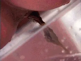 Toilet Slaves Scatology - Reality TV Show Pissing & Shitting! - Part 6