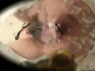 Toilet Slaves Scatology - Secretary Takes a Huge Dump While Boss is Out for Lunch - Part 2