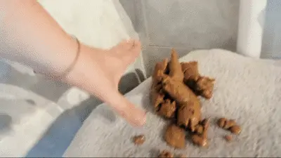 Shitty Store - Big poo on wc seat