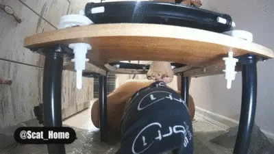 Mistress Anna Toilet - 194 Swallow my shit very fast