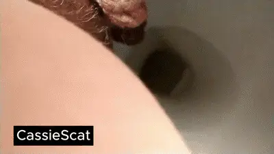 CassieScat - 2 CLOSE-UP Cassie Toilet Poops (loud crackles!)
