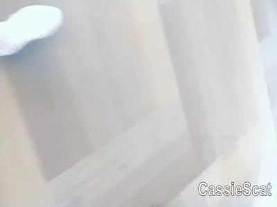 CassieScat - Taking a Shit in an Airplane Toilet