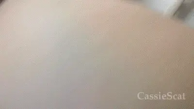 CassieScat - Public Airport and Plane Poops