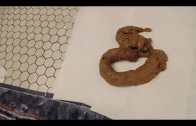 CassieScat - 9 Pooping Clips Amateur Compilation