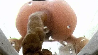 All Girls Poop (Solo) - Mikato