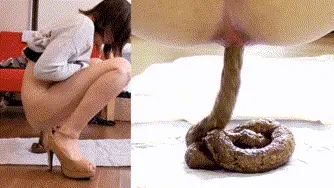 All Girls Poop (Solo) - Tora II