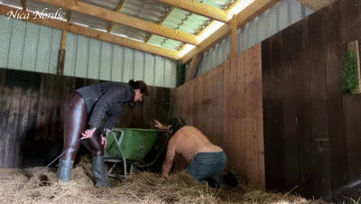Miss Nica Nordic - &nbsp;new chaste stable boy at work