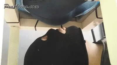 PooAlina - Toilet slave licking shitting anus girl with secretions