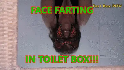 Goddess Tempest - Fart Box POV