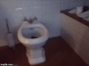 Savannah toilet lover - pee and poo in my bidet