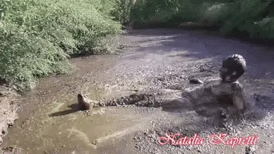 Natalia Kapretti - Kat dived and bathed in cow shit
