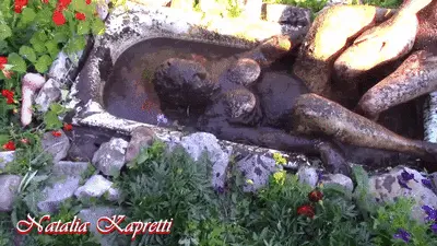 Natalia Kapretti - Step back, now my turn dive into manure