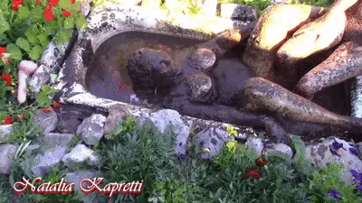 Natalia Kapretti - Step back, now my turn dive into manure