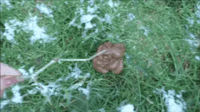 Lady Shay - Scat & Pee Outdoor 3 UNCENSORED