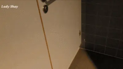 Lady Shay - Airport female toilet!