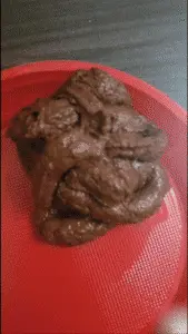 Lady Shay - Scat Compilation 4