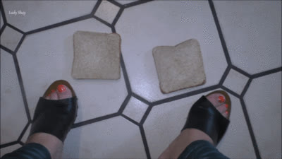 Lady Shay - Fuss Toast