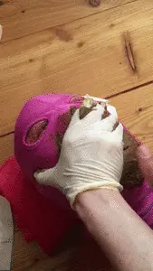 Mistress Jardena - Asterix and Obelix full of shit Part2