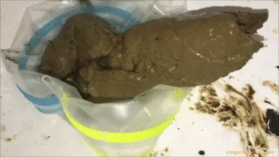 Scat Goddess Amanda - Dirty Toilets Love My Loads