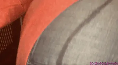 Scat Goddess Amanda - Post Turkey Day Farts