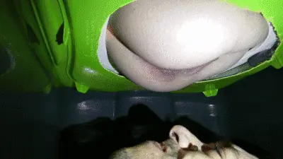 Filth Fetish Studios - Constipation And Tacos - Bossy Leah (HD1080p)