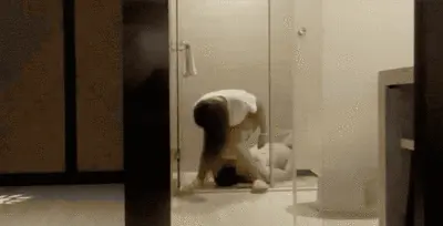 Scat Dynasty - Mistress Zhus Human Toilet