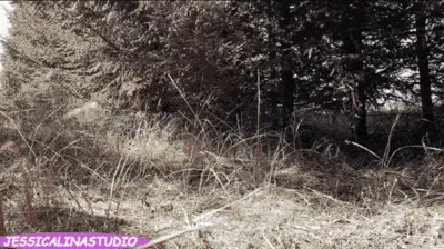 Jessica Lina Studio - Eating poop in a grove