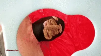 Madame Ellen Expert in scat - Madame Ellen: personal Toilet Rex in Chastity, 6 x filled with shit