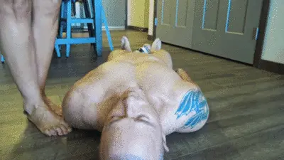 World Goddess - cucky gets Massive Toilet Humiliation