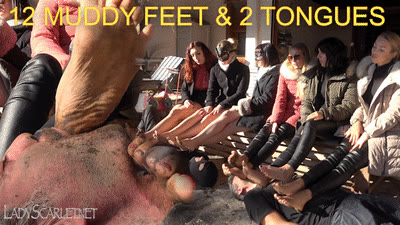 Lady Scarlet - LADY SCARLET - 12 MUDDY FEET & 2 TONGUES hd