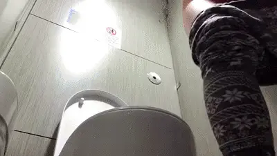 Carla Santos - Public Toilet Chronicles
