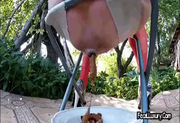 Fecal Luxury - Shit Offering With Piss And Spit