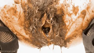 ArtOfScat - Hairy Poo - 1080p
