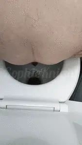 SophieKnight - Back view into the toilet as I shit in public toilets
