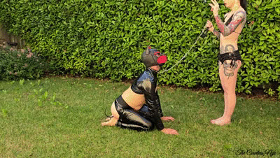 Mistress Nyx - MISTRESS NYX - PUPPY TRAINING