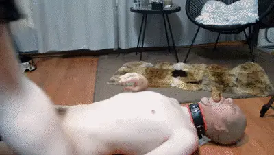 Mistress Ann - shit feeding