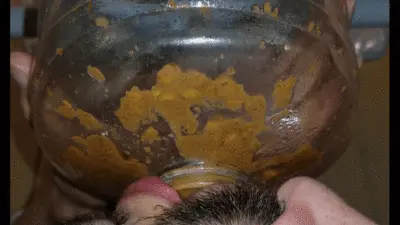 SSBBW Queen Siya - Slave swallows ALL my DIGESTED CORN in HD