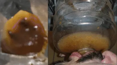 SSBBW Queen Siya - --> BIG MEAL absolute domination