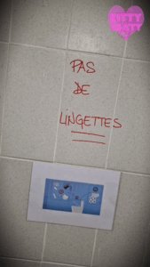 Kitty Skatt - Public Toilet Birth