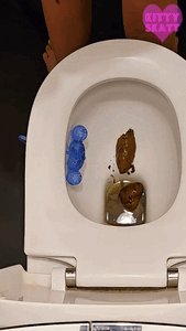 Kitty Skatt - Two huge perfect shits