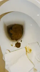 Anja Black - KV Toilet Dirty Talk
